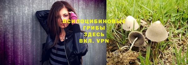 прущая мука Бронницы
