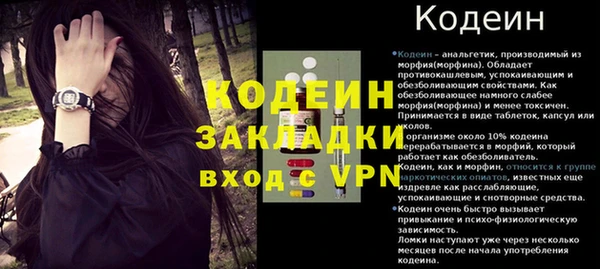 прущие грибы Бугульма