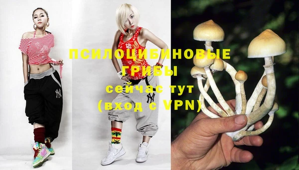СК Богородицк